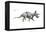 Dinosaur-Encyclopaedia Britannica-Framed Stretched Canvas