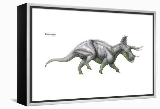 Dinosaur-Encyclopaedia Britannica-Framed Stretched Canvas