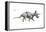 Dinosaur-Encyclopaedia Britannica-Framed Stretched Canvas