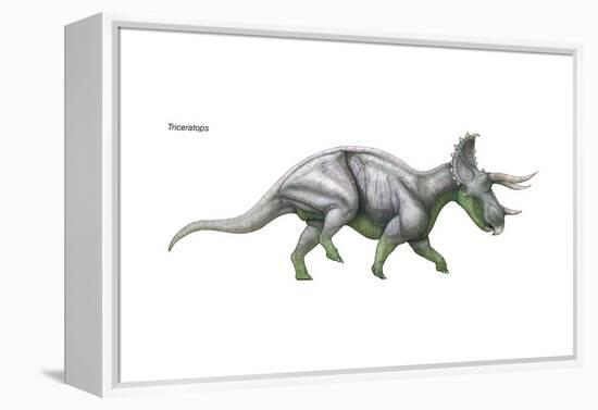 Dinosaur-Encyclopaedia Britannica-Framed Stretched Canvas