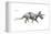 Dinosaur-Encyclopaedia Britannica-Framed Stretched Canvas