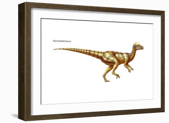 Dinosaur-Encyclopaedia Britannica-Framed Art Print