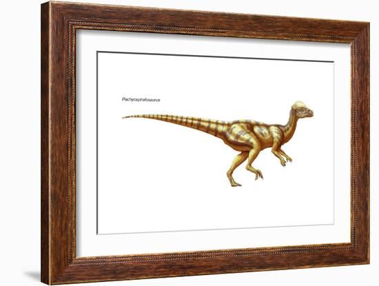 Dinosaur-Encyclopaedia Britannica-Framed Art Print