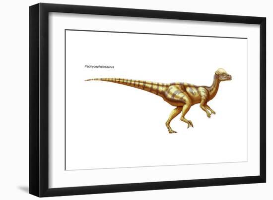 Dinosaur-Encyclopaedia Britannica-Framed Art Print