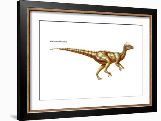 Dinosaur-Encyclopaedia Britannica-Framed Art Print