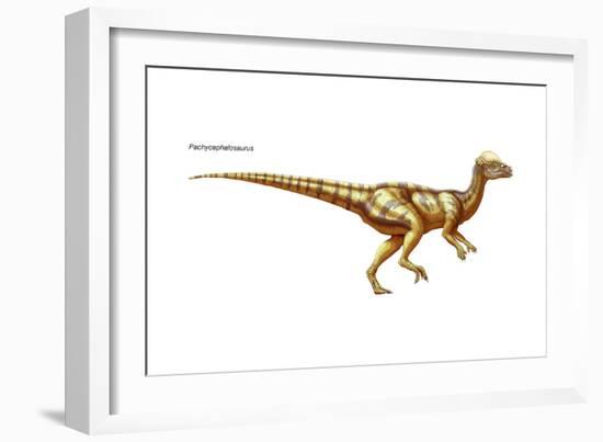 Dinosaur-Encyclopaedia Britannica-Framed Art Print