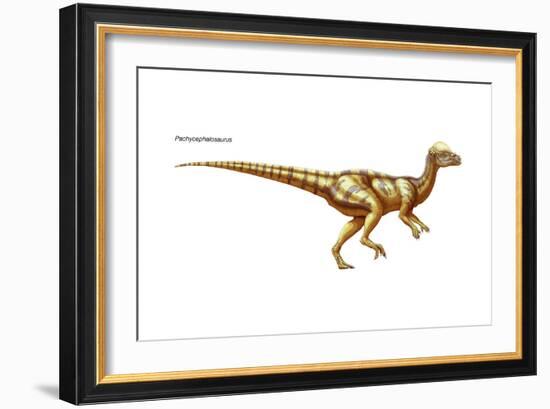 Dinosaur-Encyclopaedia Britannica-Framed Art Print