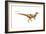 Dinosaur-Encyclopaedia Britannica-Framed Art Print