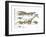 Dinosaur-Encyclopaedia Britannica-Framed Art Print