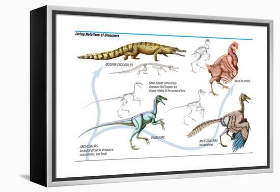 Dinosaur-Encyclopaedia Britannica-Framed Stretched Canvas