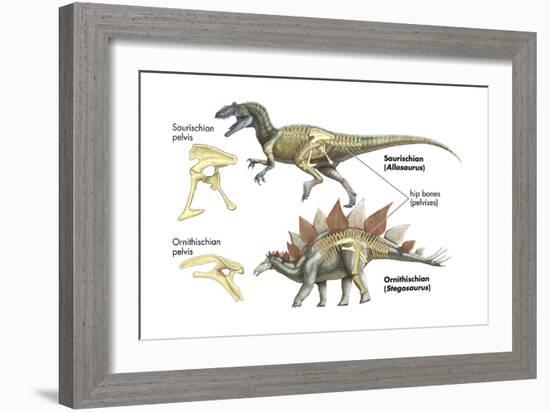 Dinosaur-Encyclopaedia Britannica-Framed Art Print