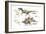 Dinosaur-Encyclopaedia Britannica-Framed Art Print