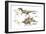 Dinosaur-Encyclopaedia Britannica-Framed Art Print