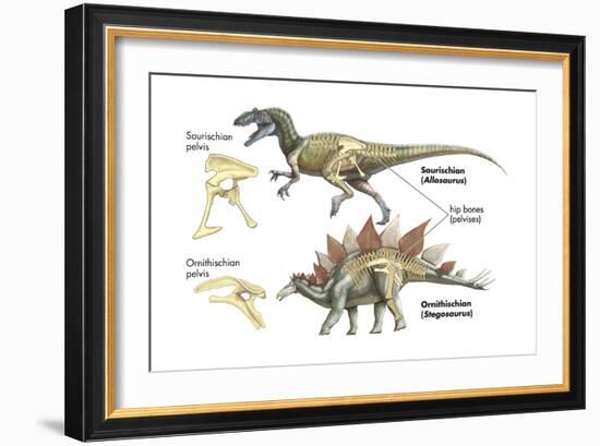 Dinosaur-Encyclopaedia Britannica-Framed Art Print