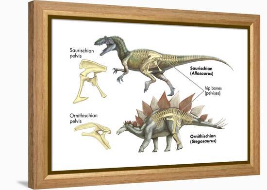 Dinosaur-Encyclopaedia Britannica-Framed Stretched Canvas