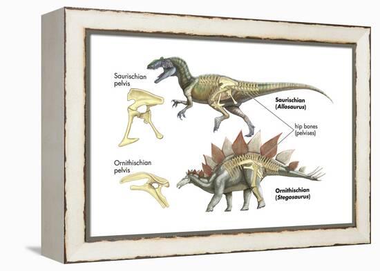 Dinosaur-Encyclopaedia Britannica-Framed Stretched Canvas