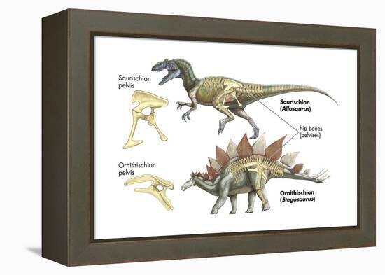 Dinosaur-Encyclopaedia Britannica-Framed Stretched Canvas