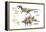 Dinosaur-Encyclopaedia Britannica-Framed Stretched Canvas