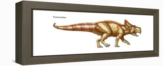 Dinosaur-Encyclopaedia Britannica-Framed Stretched Canvas