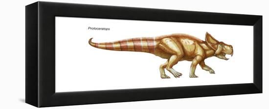 Dinosaur-Encyclopaedia Britannica-Framed Stretched Canvas