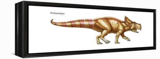 Dinosaur-Encyclopaedia Britannica-Framed Stretched Canvas