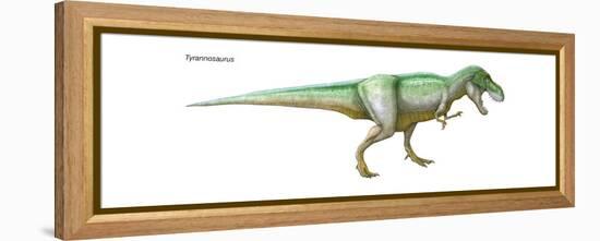 Dinosaur-Encyclopaedia Britannica-Framed Stretched Canvas