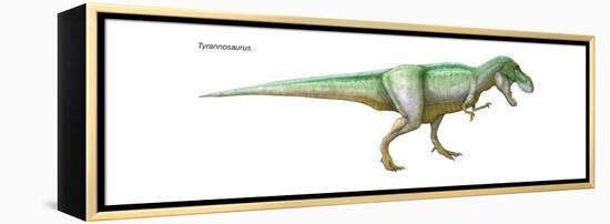 Dinosaur-Encyclopaedia Britannica-Framed Stretched Canvas