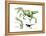 Dinosaur-Encyclopaedia Britannica-Framed Stretched Canvas