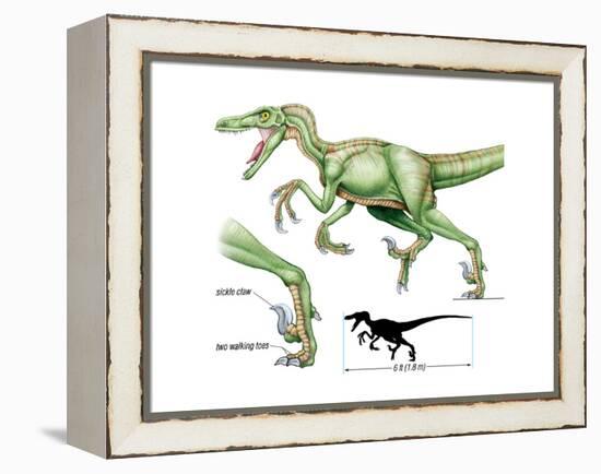 Dinosaur-Encyclopaedia Britannica-Framed Stretched Canvas