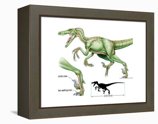 Dinosaur-Encyclopaedia Britannica-Framed Stretched Canvas