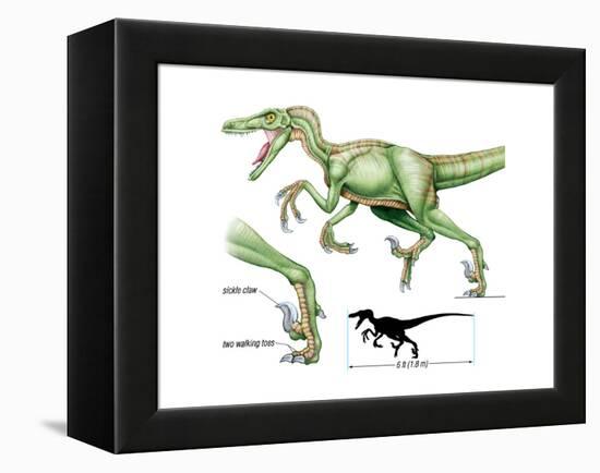 Dinosaur-Encyclopaedia Britannica-Framed Stretched Canvas