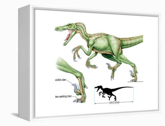 Dinosaur-Encyclopaedia Britannica-Framed Stretched Canvas