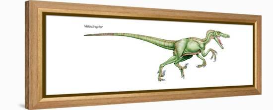 Dinosaur-Encyclopaedia Britannica-Framed Stretched Canvas