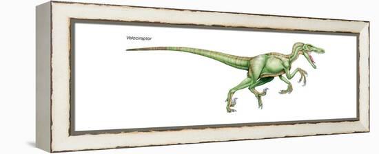 Dinosaur-Encyclopaedia Britannica-Framed Stretched Canvas