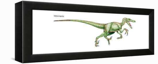 Dinosaur-Encyclopaedia Britannica-Framed Stretched Canvas