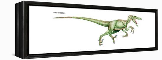 Dinosaur-Encyclopaedia Britannica-Framed Stretched Canvas