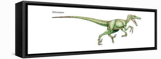 Dinosaur-Encyclopaedia Britannica-Framed Stretched Canvas