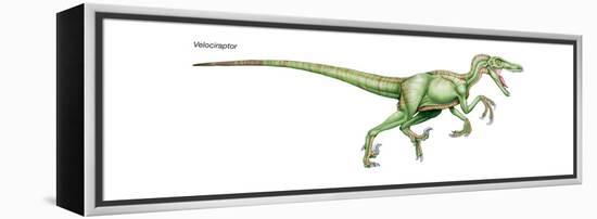 Dinosaur-Encyclopaedia Britannica-Framed Stretched Canvas