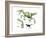 Dinosaur-Encyclopaedia Britannica-Framed Art Print