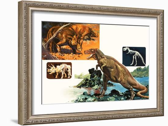 Dinosaurs and Skeletons. Stegasaurus and Tyranosaurus-null-Framed Giclee Print