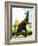 Dinosaurs - Jack & Jill-Edward F. Cortese-Framed Giclee Print