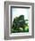 Dinosaurs - Jack & Jill-Edward F. Cortese-Framed Giclee Print