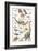 Dinosaurs, Jurassic Period-null-Framed Premium Giclee Print