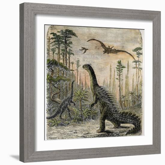 Dinosaurs of the Jurassic Period: a Stegosaurus with a Compsognathus in the Background-A. Jobin-Framed Photographic Print