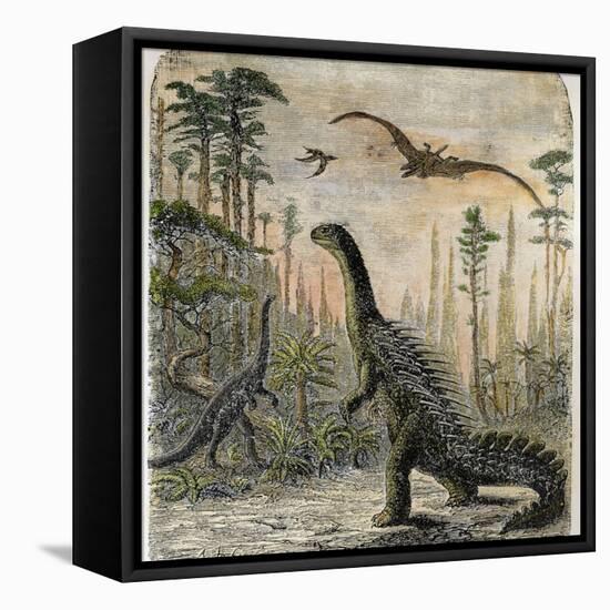 Dinosaurs of the Jurassic Period: a Stegosaurus with a Compsognathus in the Background-A. Jobin-Framed Premier Image Canvas