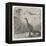 Dinosaurs of the Jurassic Period: a Stegosaurus with a Compsognathus in the Background-A. Jobin-Framed Stretched Canvas