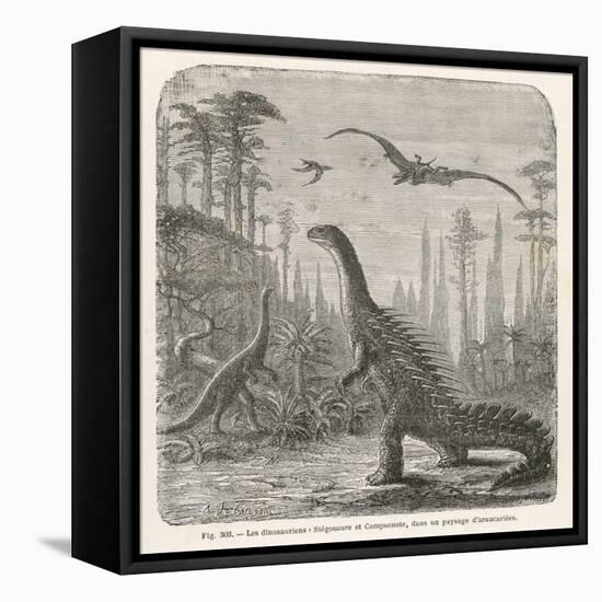 Dinosaurs of the Jurassic Period: a Stegosaurus with a Compsognathus in the Background-A. Jobin-Framed Stretched Canvas