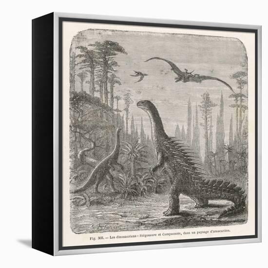 Dinosaurs of the Jurassic Period: a Stegosaurus with a Compsognathus in the Background-A. Jobin-Framed Stretched Canvas