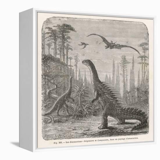 Dinosaurs of the Jurassic Period: a Stegosaurus with a Compsognathus in the Background-A. Jobin-Framed Stretched Canvas