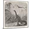 Dinosaurs of the Jurassic Period: a Stegosaurus with a Compsognathus in the Background-A. Jobin-Mounted Art Print